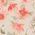 Color Swatch - Ivory Floral