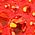 Color Swatch - Fuchsia Ombre