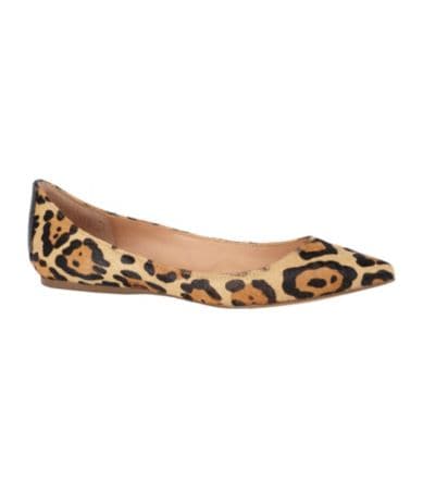 shop all steve madden steve madden vegass l leopard print flats print ...