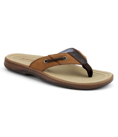 Sperry Top-Sider Baitfish Flip Flop Sandals | Dillards