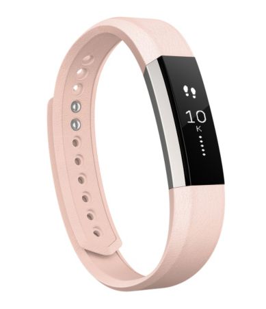 fitbit accessories