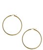 Color:Gold - Image 1 - Large Tubular Hoop Earrings