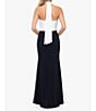 Color:Black/White - Image 2 - Mixed Media Rose Applique Keyhole Front Halter Neck Sleeveless Colorblock A-Line Gown