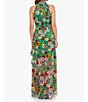 Color:Green Floral - Image 2 - Petite Size Sleeveless Halter Neck Floral Chiffon Maxi Fit and Flare Dress