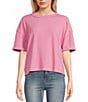 Color:Pink - Image 1 - Short Sleeve Ribbed Knit Top