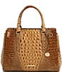 Color:Toasted - Image 1 - Ombre Melbourne Collection Small Finley Toasted Almond Satchel Bag