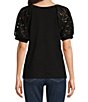Color:Black - Image 2 - Petite Size Knit Eyelet Embroidered V-Neck Elbow Sleeve Pullover Blouse