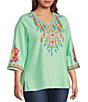 Color:Green Multi - Image 4 - Plus Size Embroidered Patchwork V-Neck 3/4 Sleeve Tunic