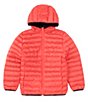 Color:Spicy Orange - Image 1 - Little Boys 2T-7 Long Sleeve Channeled Puffer Ski Jacket