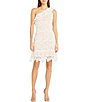 Color:White - Image 1 - Lace One Shoulder Ruffle Trim Sleeveless Mini Dress