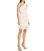 Color:White - Image 3 - Lace One Shoulder Ruffle Trim Sleeveless Mini Dress