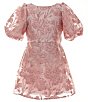 Color:Pink - Image 1 - Big Girls 7-16 Brilliant Floral Metallic Dress