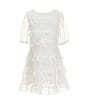 Color:White - Image 1 - Social Little Girls 2-6X Tiered Ruffle Dress