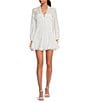 Color:White - Image 1 - Katrina Eyelet V-Neck Long Sleeve A-Line Dress