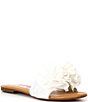 Color:White - Image 1 - Zaven Ruffle Detail Flat Slide Sandals