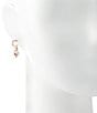 Color:Rose Gold/Crystal - Image 2 - Small Crystal Drop Earrings