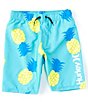 Color:Aurora - Image 1 - Big Boys 8-20 Character Toss Pull-On Pineapple Print Swim Shorts