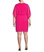 Color:Pink - Image 2 - Plus Size Short Dolman Sleeve Round Neck Blouson Dress