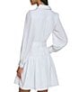 Color:Soft White - Image 2 - Belted Silky Crepe Collared Neck Long Sleeve Drop Waist A-Line Dress
