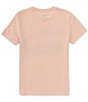 Color:Pale - Image 2 - Levi's® Big Boys 8-20 Short Sleeve Seaside Palms T-Shirt