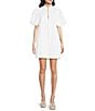 Color:Ivory - Image 1 - Linen Blend Elliana Mandarin Collar Puff Sleeve Embroidered Button Front Mini Dress