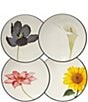 Color:Multi - Image 1 - Colorwave Floral Appetizer Plates, Set of 4