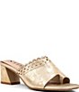 Color:Natural/Light Gold - Image 1 - Alanah Suede Toe Loop Block Heel Sandals