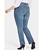 Color:Romance - Image 2 - Plus Size Marilyn Waist Match Straight Leg Denim Jeans