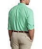 Color:Mayan Green/White - Image 2 - Big & Tall Gingham Oxford Long-Sleeve Woven Shirt