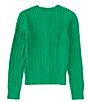 Color:Preppy Green/Bright White - Image 2 - Big Girls 7-16 Long-Sleeve Mini-Cable-Knit Button Front Cardigan