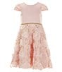 Color:Blush - Image 1 - Little Girls 2T-6X Cap-Sleeve Satin-Bodice/Soutache-Skirted A-Line Dress