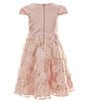 Color:Blush - Image 2 - Little Girls 2T-6X Cap-Sleeve Satin-Bodice/Soutache-Skirted A-Line Dress