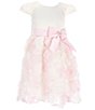 Color:Pink/Ivory - Image 1 - Little Girls 2T-6X Cap Sleeve Solid Satin Bodice to Soutache-Embroidered Skirt Fit-And-Flare Dress