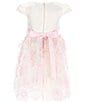 Color:Pink/Ivory - Image 2 - Little Girls 2T-6X Cap Sleeve Solid Satin Bodice to Soutache-Embroidered Skirt Fit-And-Flare Dress