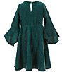 Color:Hunter - Image 4 - Little Girls 2T-6X Sleeveless Printed Faux Fur Vest & Bell Sleeve Brushed Knit Shift Dress Set