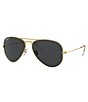 Color:Black Gold - Image 1 - Men's Legend Pilot Polarized 58mm Sunglasses