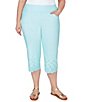 Color:Clear Blue - Image 1 - Plus Size Stretch Embroidered Eyelet Hem Pull-On Pants