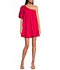 Color:Fuchsia - Image 1 - Loraine Bubble One Shoulder Puff Sleeve Pleated Mini A-Line Dress