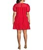 Color:Red - Image 2 - Plus Size Sheer Gingham Crew Neck Short Puff Sleeve Tiered Mini Dress