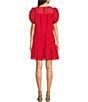 Color:Red - Image 2 - Sheer Gingham Crew Neck Short Puff Sleeve Tiered Mini Dress