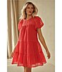 Color:Red - Image 3 - Sheer Gingham Crew Neck Short Puff Sleeve Tiered Mini Dress