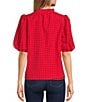 Color:Red - Image 2 - Sheer Gingham Organza Split V-Neck Short Puff Sleeve Blouse