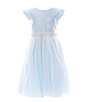Color:Light Blue - Image 1 - Little Girls 2-6 Cap Sleeve Sequin Embellished Floral Lace/Satin/Crystal Tulle Fit & Flare Dress