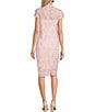 Color:Rose Quartz - Image 2 - Illusion Short Sleeve Split V-Neck Corded Lace Sheath Dress