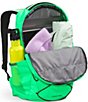 Color:Chlorophyll Green/TNF Black - Image 3 - Jester Backpack