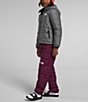 Color:TNF Medium Grey Heat - Image 3 - Little/Big Boys 6-16 Long Sleeve Mount Chimbo Full-Zip Insulated Hooded Jacket