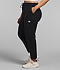 Color:TNF Black - Image 3 - Women's Plus Size Alpine Polartec® 100 Pants