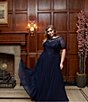 Color:Navy - Image 4 - Plus Size Illusion Boat Neck Embroidered Sequin Bodice Chiffon Gown