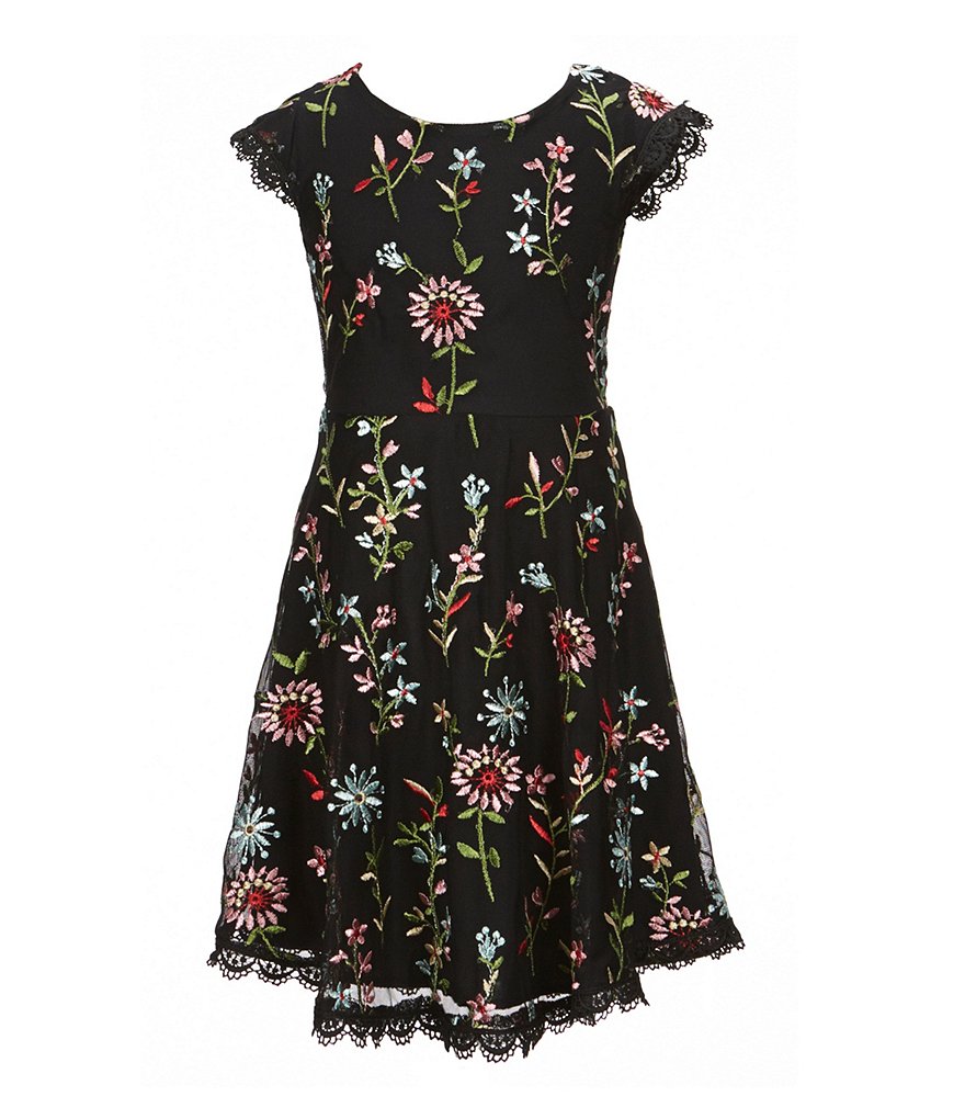 Ava & Yelly Little Girls 4-6X Floral Embroidery Fit-And-Flare Dress