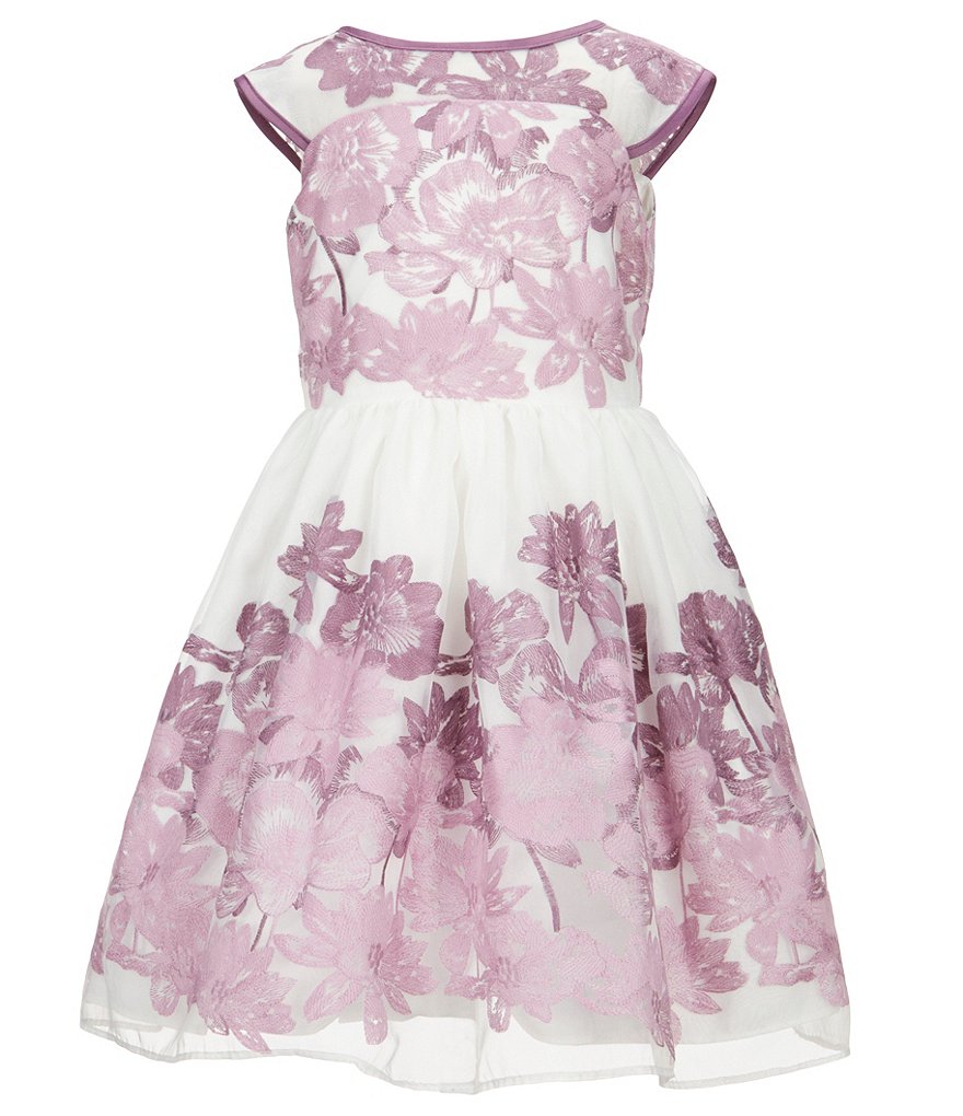 Pippa & Julie Little Girls 2T-6X Floral-Embroidered Dress